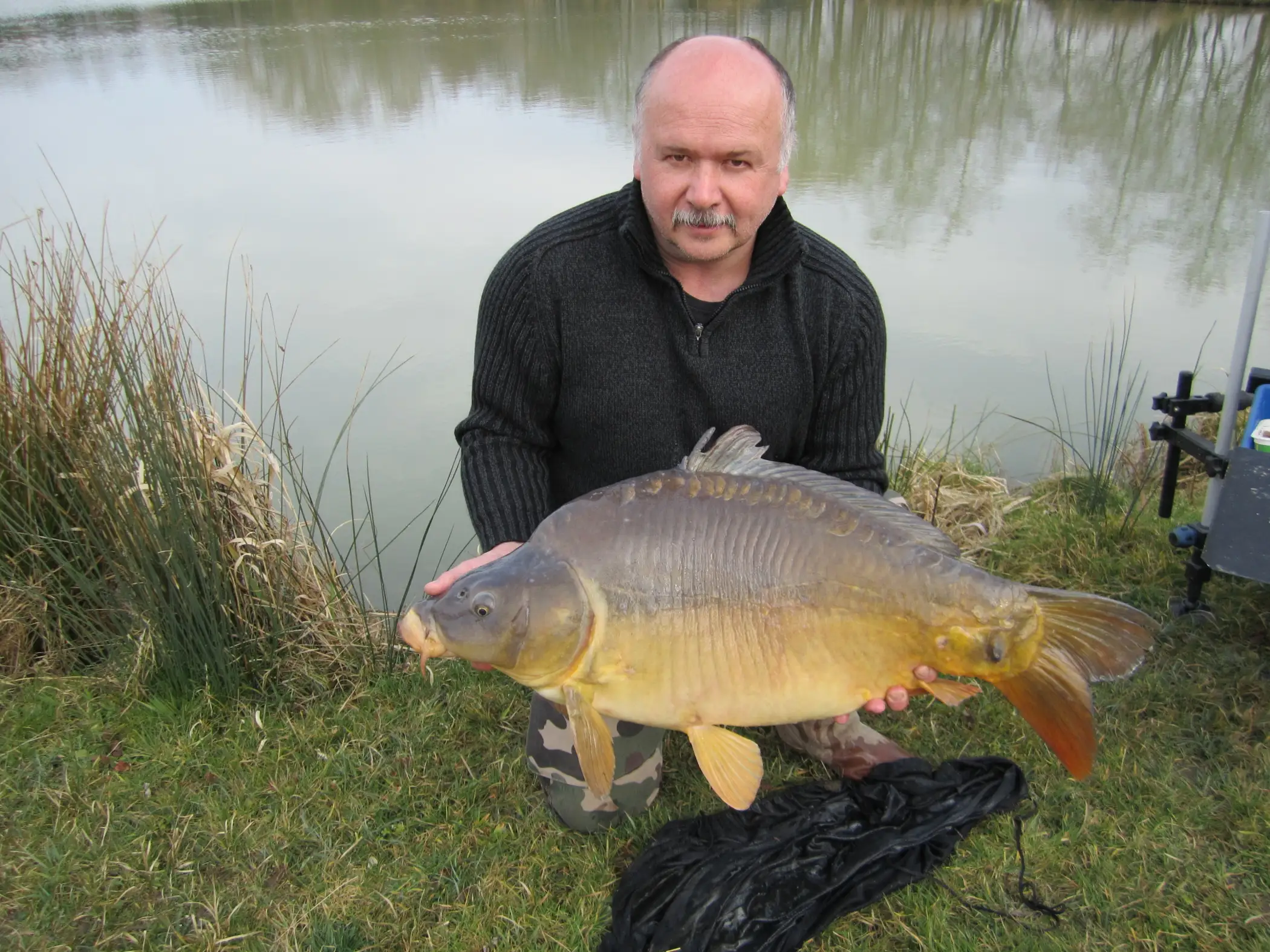 Cottage for 6 people in Chimay Chalet de l’Etang du Marteau
